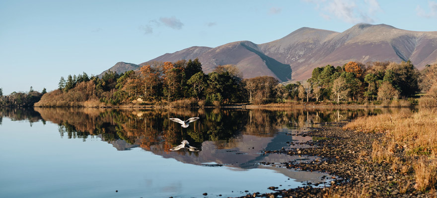 5 Amazing Campsites In The Lake District