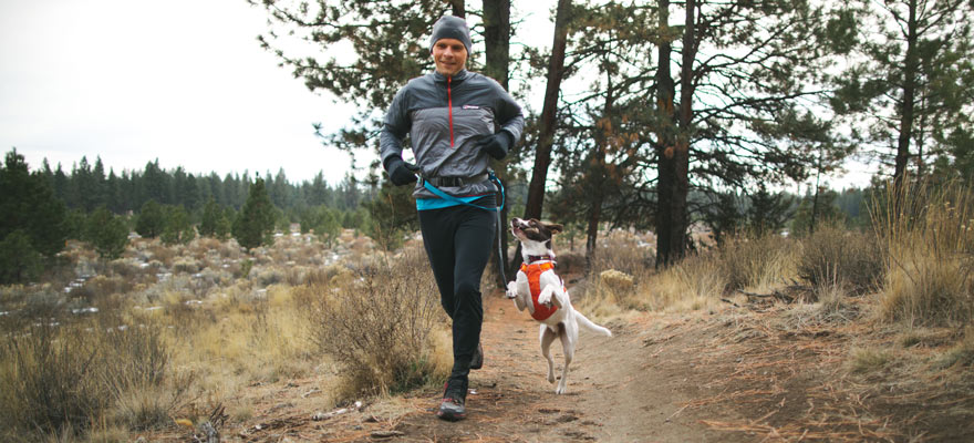 Top Tips For Running With Your Dog