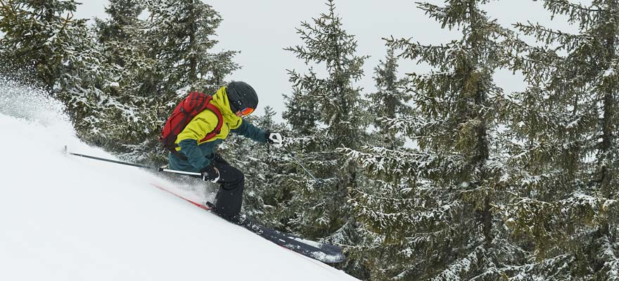 Backcountry powder after ski touring
