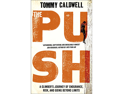 the push book cover
