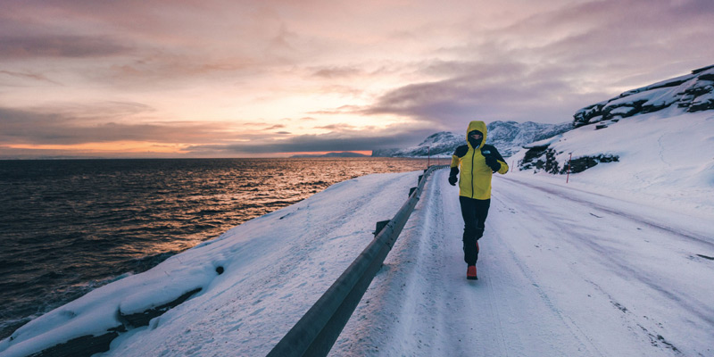 run for the arctic