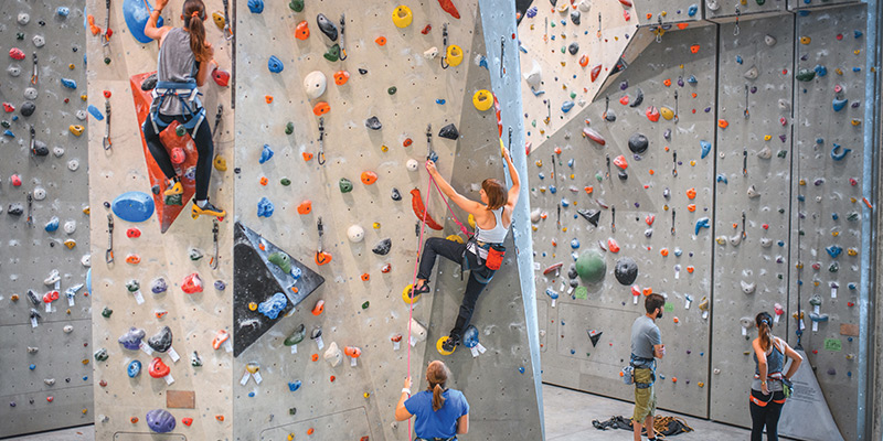 group of people climbing at an indoor climbing wall