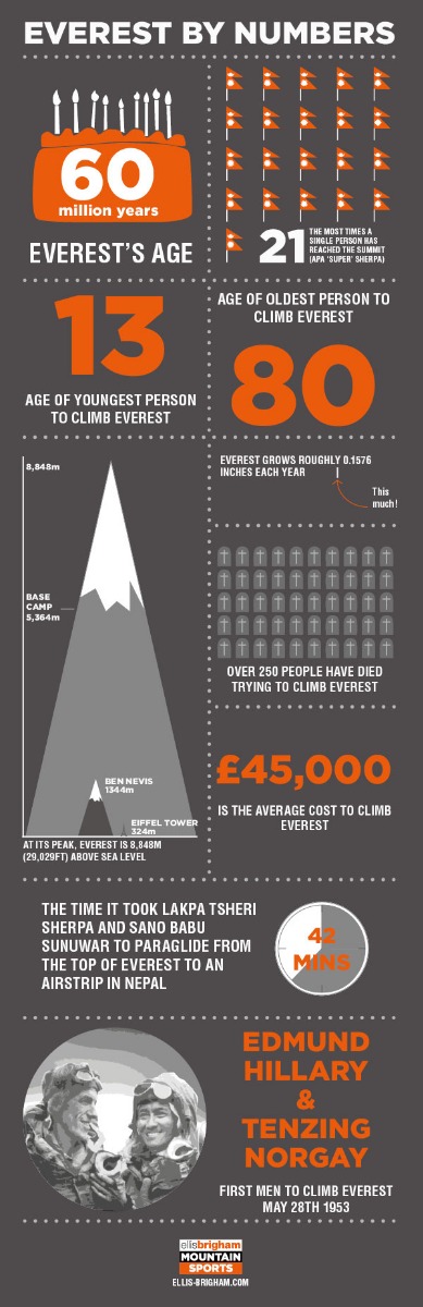 Everest Infographic